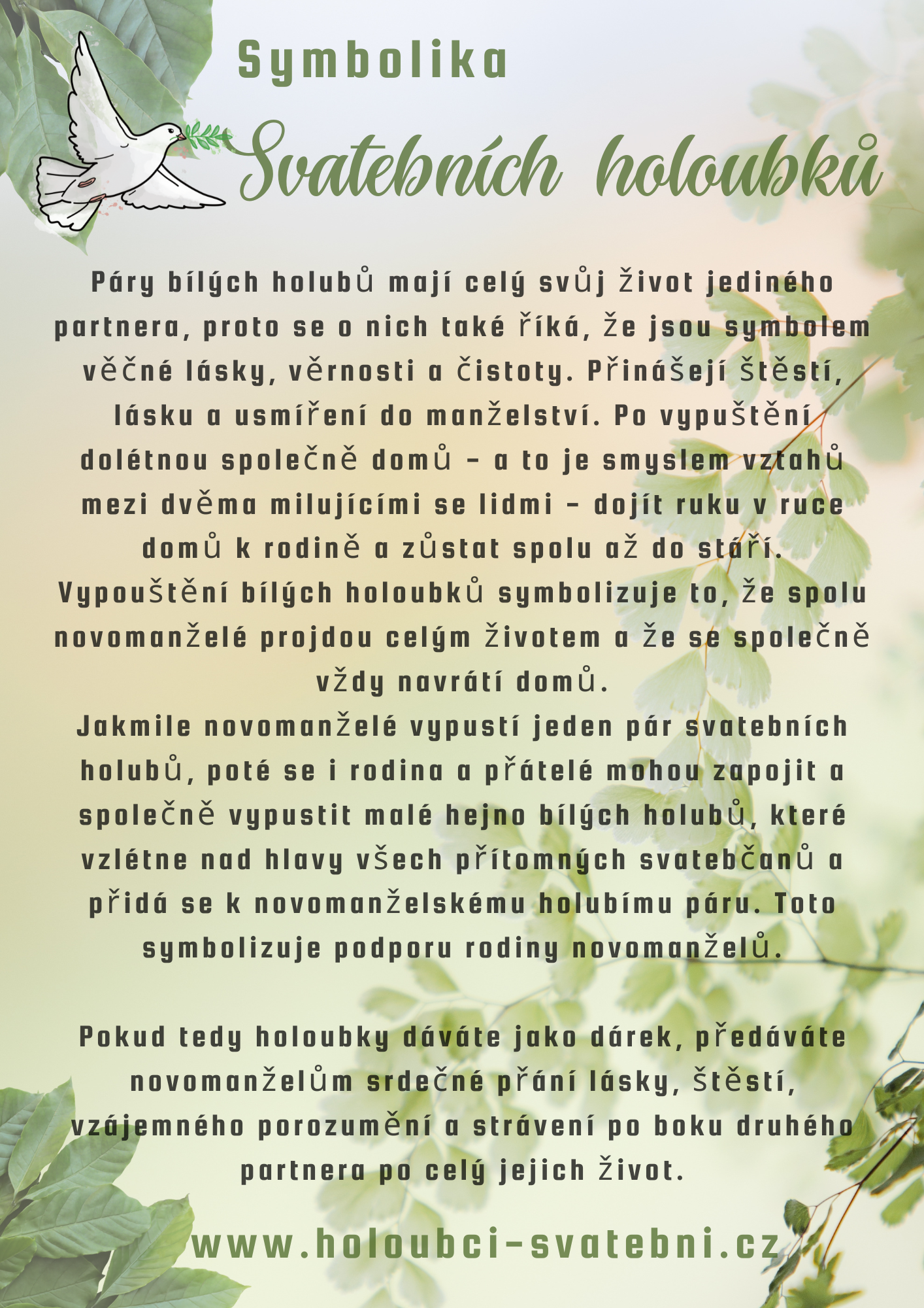 Svatební holubice